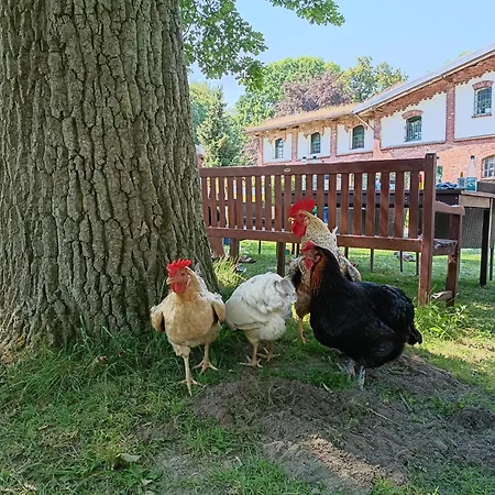 Ferien Am Schloss - 1 